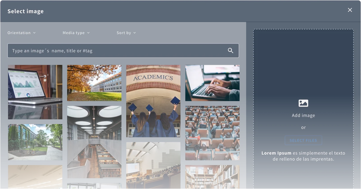 Interfaz del media manager de Griddo